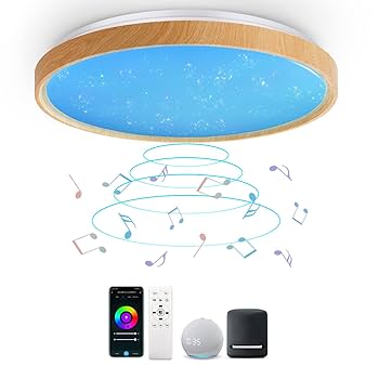 スマートスピーカー LEDライト付き Amazon.co.jp : CHYSONGOODS シーリングライトAlexa 対応 Google